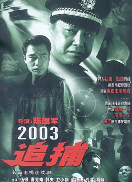 追捕2003版