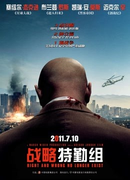 战略特勤组（2010）